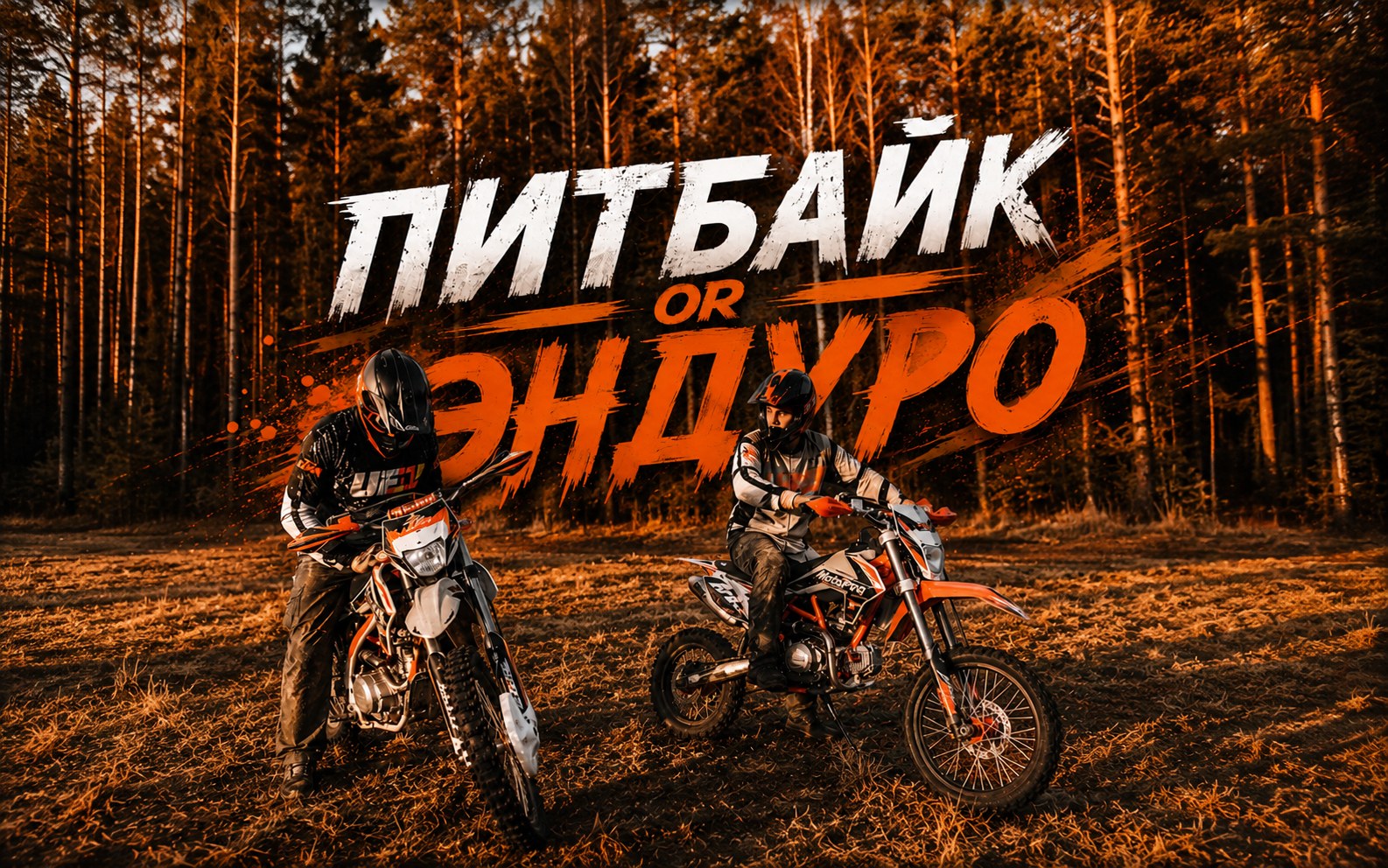 Питбайк или эндуро — что выбрать