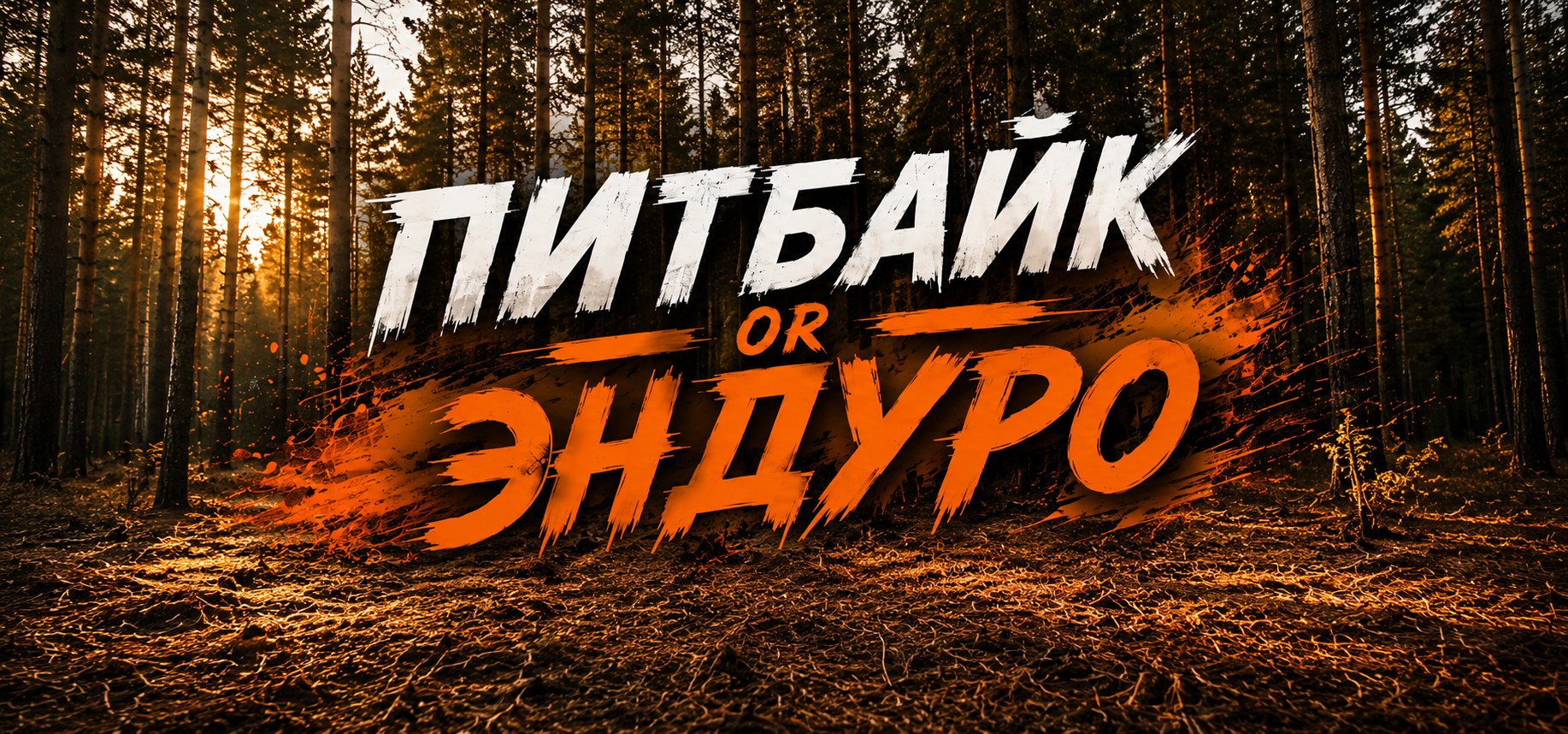 Питбайк или эндуро — что выбрать